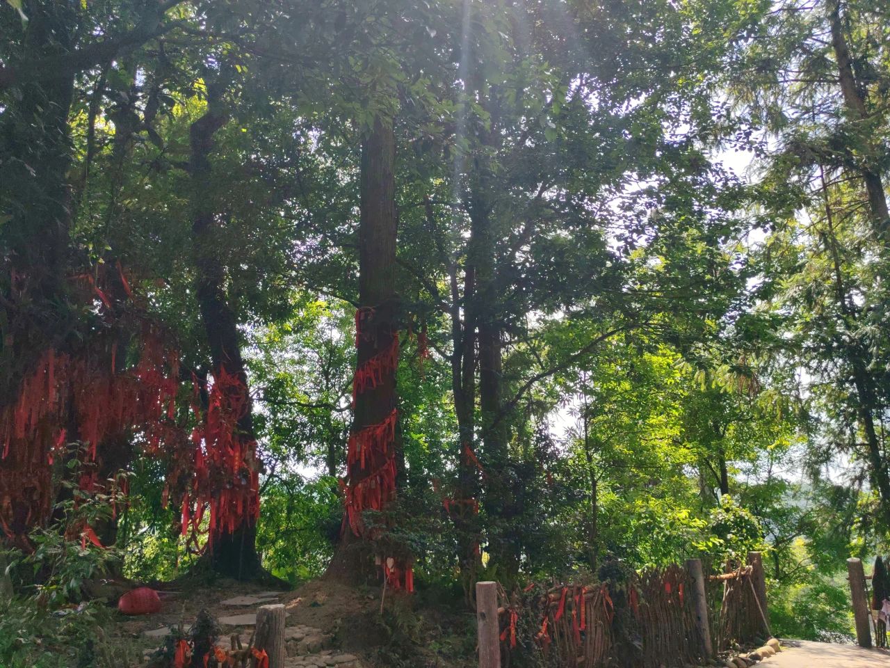 微信图片_20250724170353.jpg
